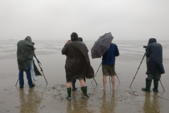 Waders in the wet